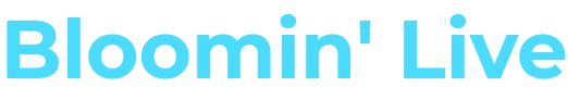 Curated Retail
